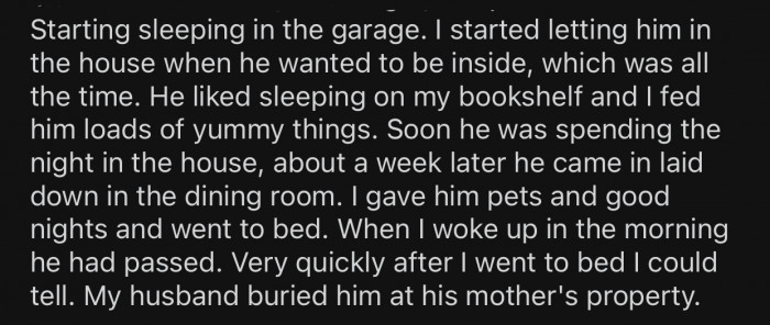 The cat started coming to OP's house more frequently and getting fed and taken care of.