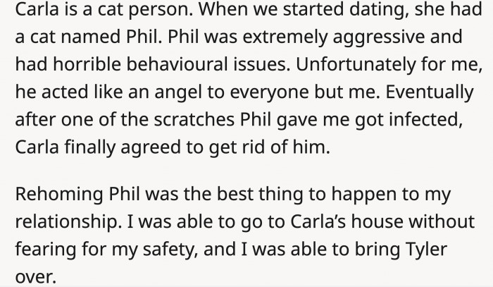 According to this guy they believe is Sam, OP agreed to rehome her cat after an infected scratch