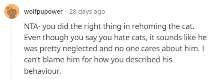 The cat deserves a proper home where it will be loved.