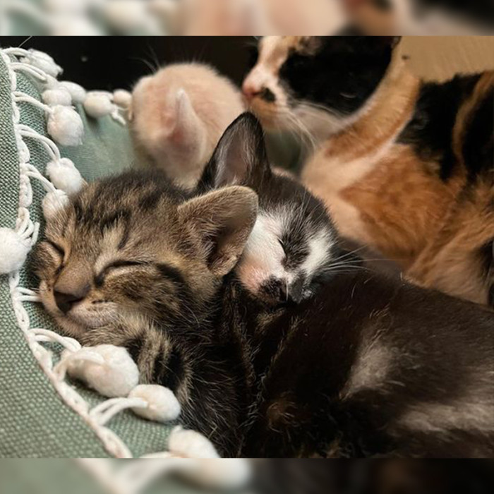 Sleeping so peacefully