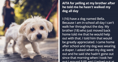 Redditor Lashes Out At The Brother Who Volunteered To Walk The Dog But Didn't, And Was Leaving Her In Diapers All Day
