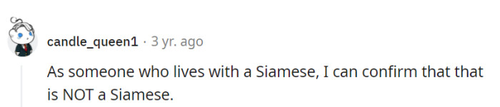 Living with a Siamese gives you the ultimate cat breed detective skills—who knew feline forensics could be so entertaining? Case closed, it's a meow-stery solved!