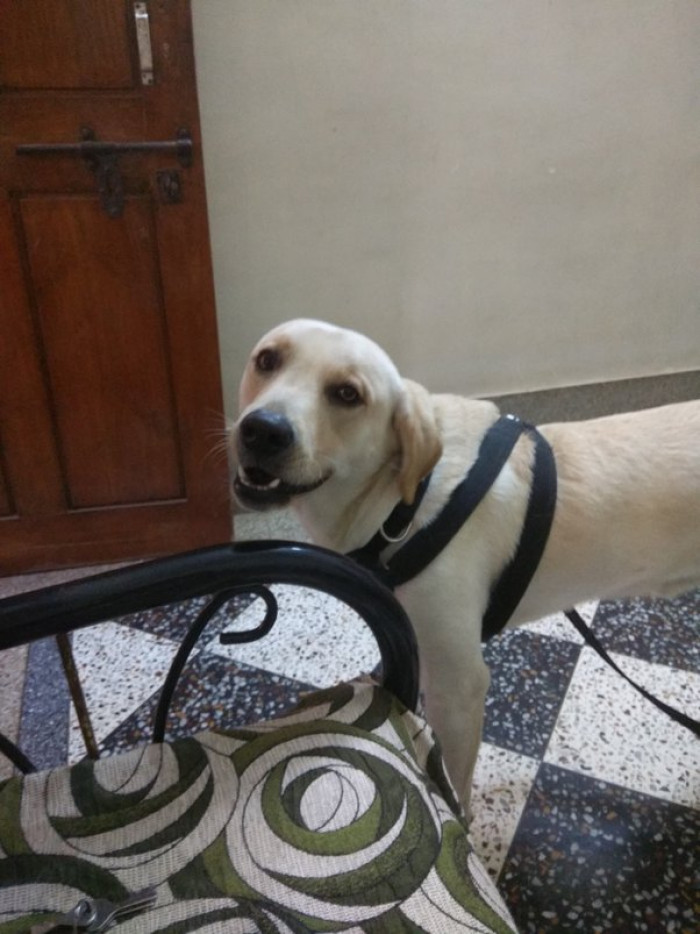 22. "They are everything we can’t be"