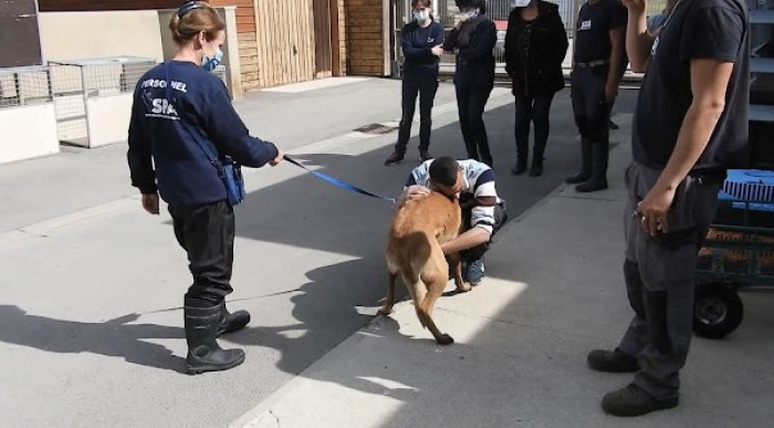 Farid spent months looking for his beloved dog, but to no avail