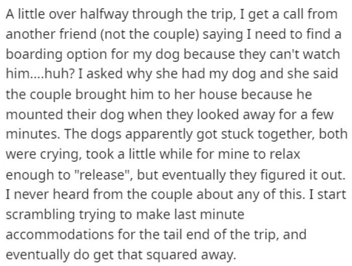 Halfway through his vacation, OP found out that his dog was at another friend's house.