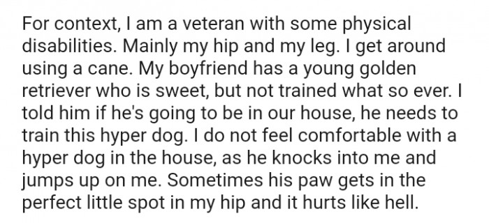 My boyfriend has a young golden retriever who is sweet