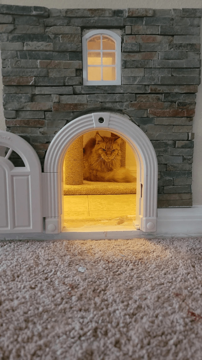 9. "What are you lookin' at?"