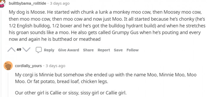 7. This dog's original name is Moose, down to Meathead