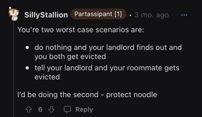 OP, don’t wait for the landlords to scold a thing you didn’t even intentionally agree with. And yes, the most important thing, protect Noodle!