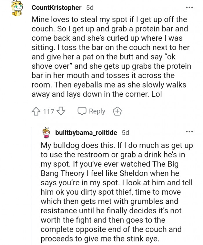 7. A dog that steals its human's spot