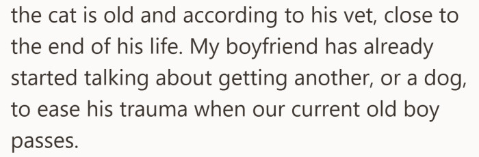 While the cat is still here, the conversation has already shifted to what comes after. Grief is entering the relationship early.