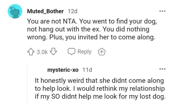 3. You went to find your dog