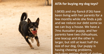 Man Gets Obligated By His Fiancé's Family To Buy Toys For Their Chihuahuas After Buying Only One For His Dog