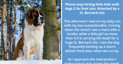 After A Terrifying Encounter With A St. Bernard Mix, A Dog Owner Rants And Proves That Little Children Should Never Walk Big Dogs