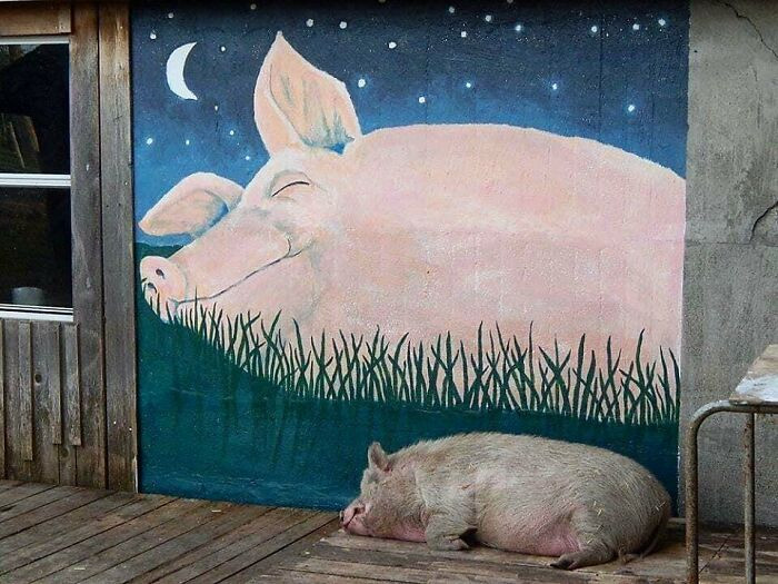 20. A beautiful replica, if you ask me