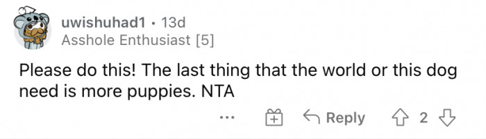 Online discussion about rehoming a dog, weighing moral distress and ethics