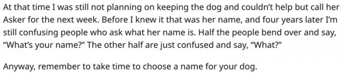 Take time to choose a name for your dog