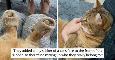 Cat Owner Transforms The Hair Shedded By Their Pet Into Adorable Feline Slippers (Video)