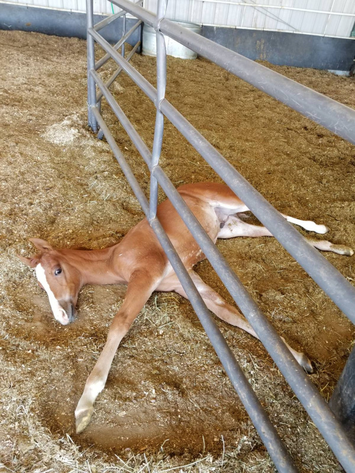 26. Gf sent me this with the text 