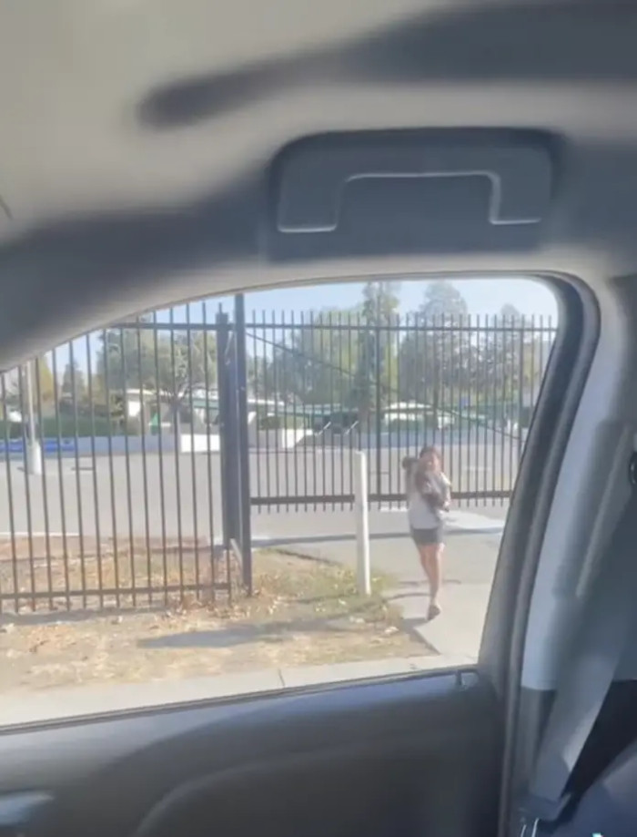 When the Girl Started to Call Out for Tita, the Cat Mysteriously Appeared and Ran Right into Her Waiting Arms