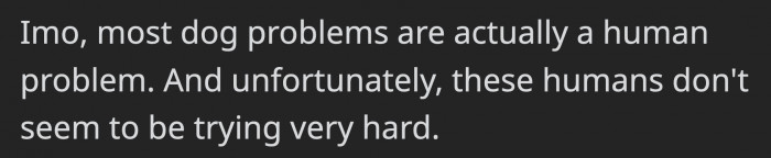 It Seems as Though the Training Is Not Effective or OP's Friends Are Not Following Through with the Training