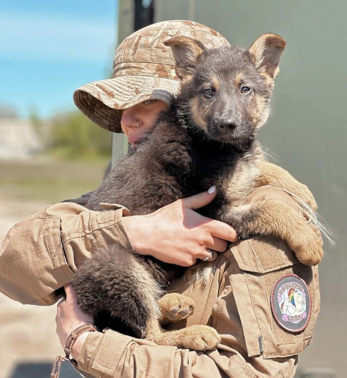 "A Ukrainian Soldier With A Puppy She Rescued"