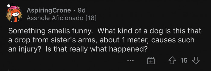 A one-meter drop is usually not enough to hurt a dog.