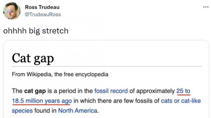 21. There is really nothing more to say; it's pawsome.