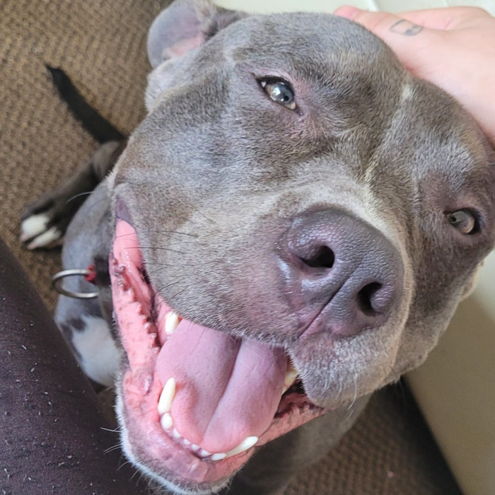 18. "Tank has the best smile!"