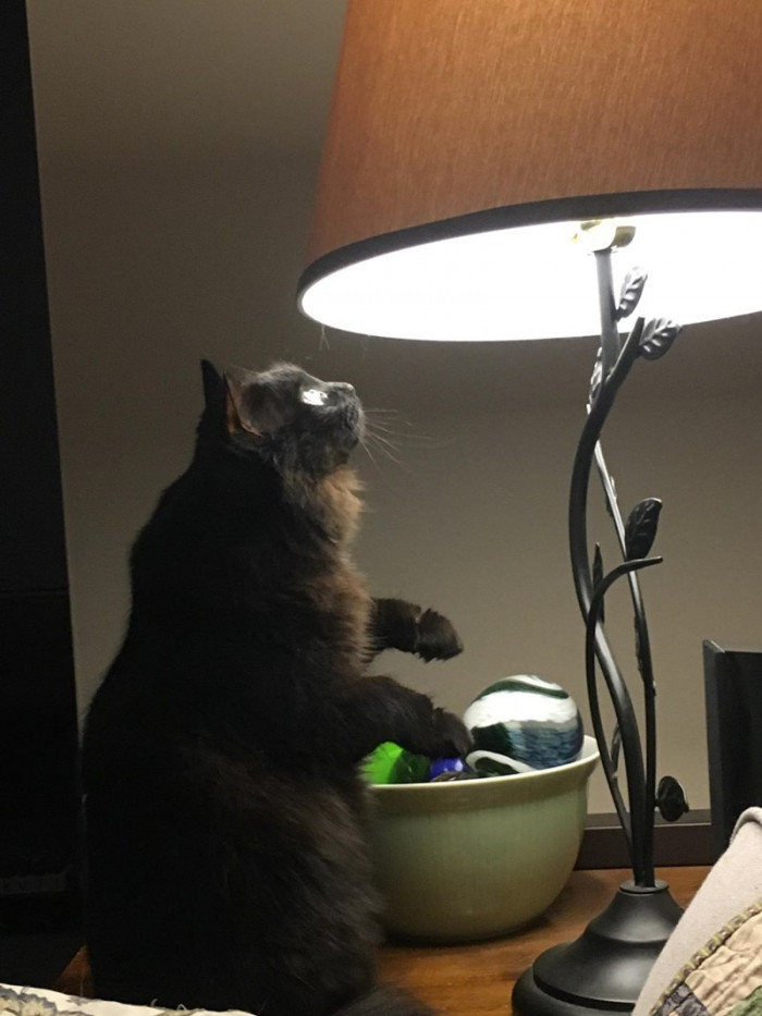 9. How do I get hold of that? Oh, it looks so attractive and delicious