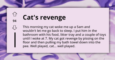 Cat Gets His Petty Revenge After He Was Locked In The Bathroom For Waking His Owner Up So Early