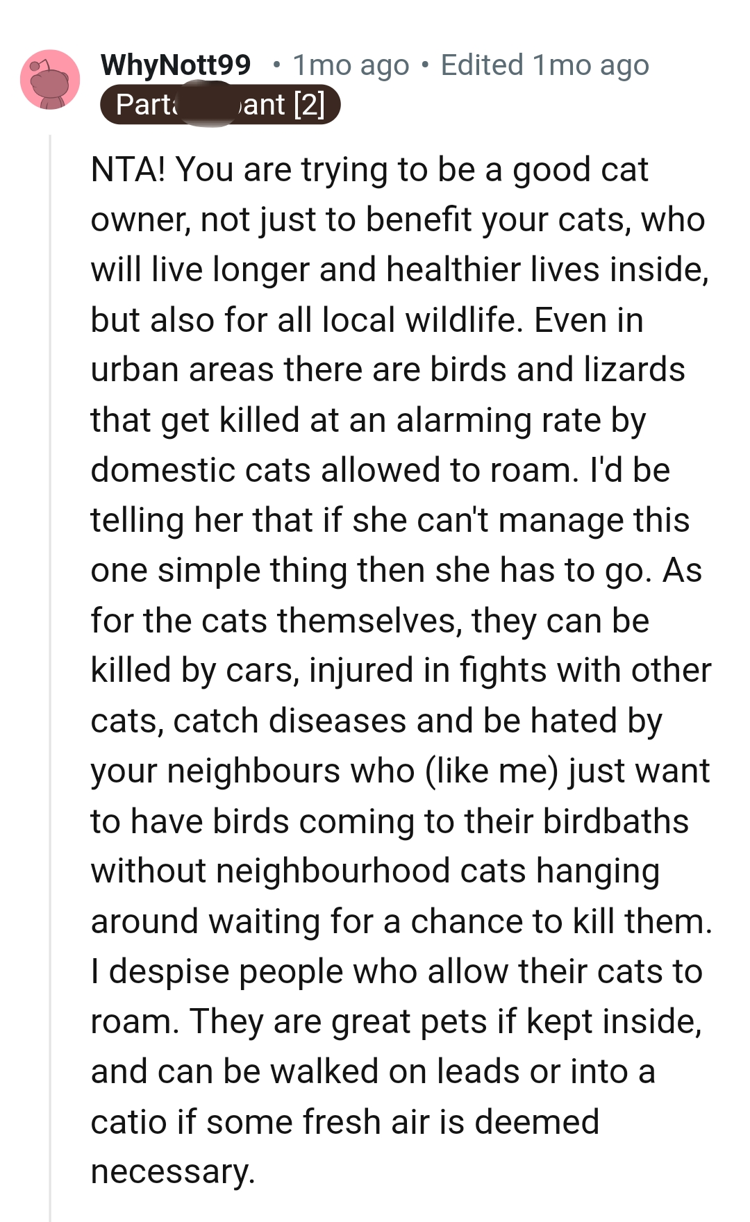 Being a good cat owner