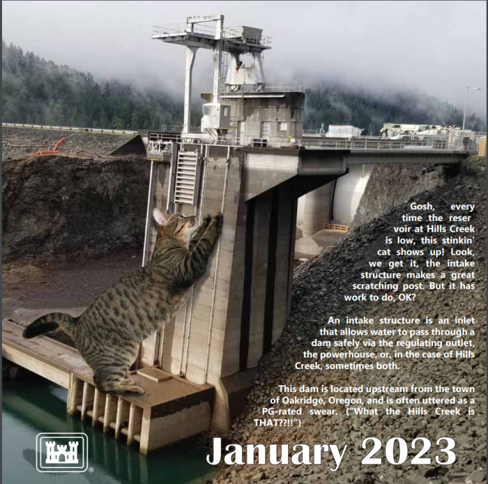 The U S Army Corps Of Engineers Used Cats To Design The Best Calendar