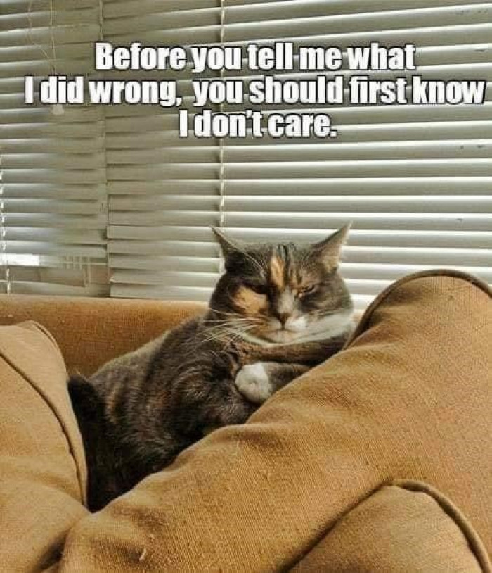 35. Yes, you heard me