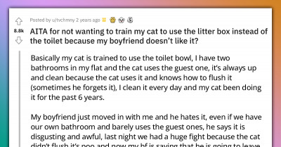 Man Demands From Girlfriend To Litterbox Train Her Cat Who Uses The Toilet Or He Would Leave, GF Refuses