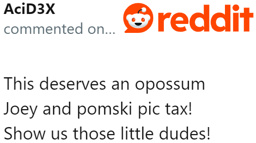 Redditors can't get enough of the story. They wanted photos of their dog and the opossums.