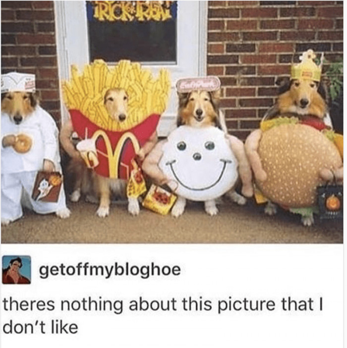 15. I totally love everything about this picture