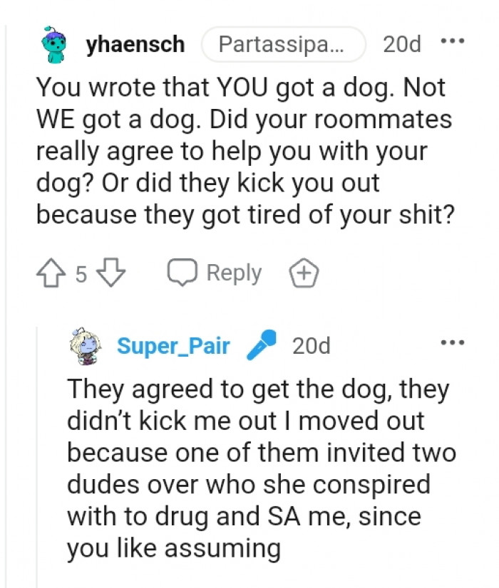 You wrote that you got a dog
