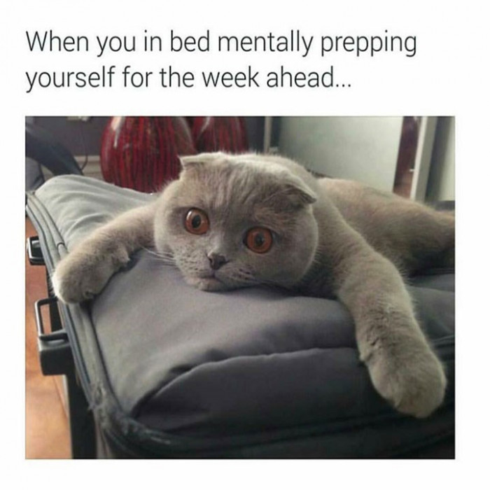 22. It's going to be tough, but I'll scale through... Positive vibes all the way