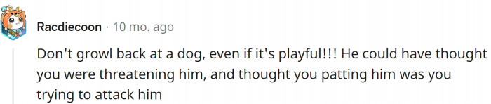 Do not growl back at the dog.