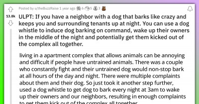 Redditor Gets Revenge By Using Dog Whistle To Induce Dog Barking So As To Wake Owners At Midnight