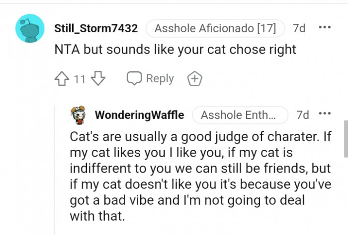 Cats are usually a good judge of character