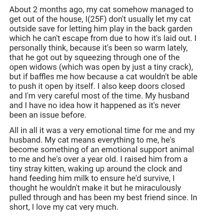 The OP and her husband have no idea how the cat could escape