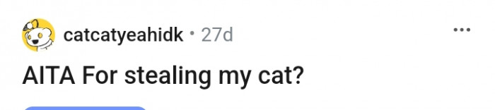 This Redditor wants to know if she's wrong for stealing her cat