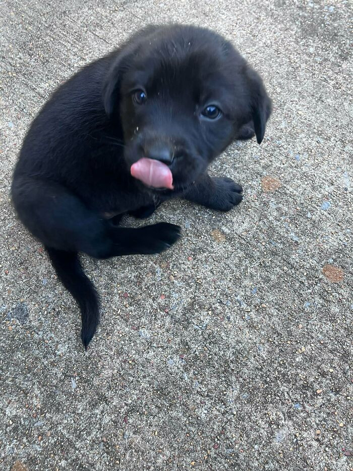 8. Name not decided yet, but this new addition will definitely bring joy to the family