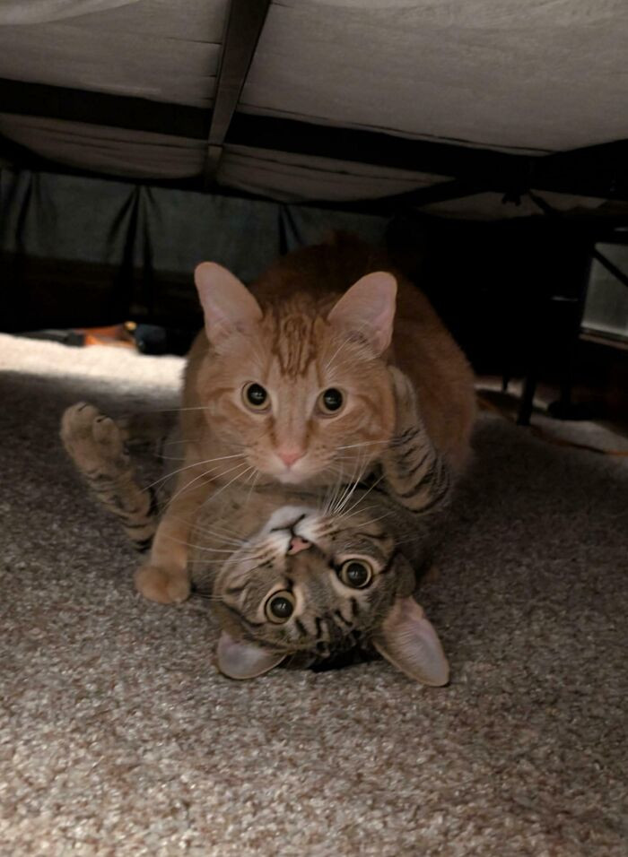 "Meet Laundry & Noodles"