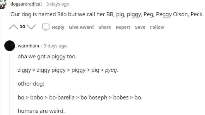 26. From Rilo to Peck