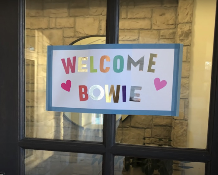 Bowie was so brave! He warmed up to everyone around him