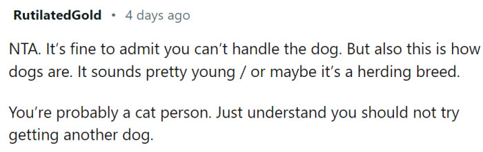 Maybe OP is a cat person?