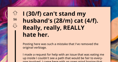 Woman Vents Online About Her Hatred for Husband's Cat, Reacts After Getting Attacked by Online Users
